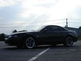 Bullitt312021.webp