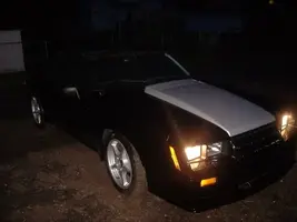 stang002.webp