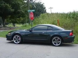 Bullitt312002.webp