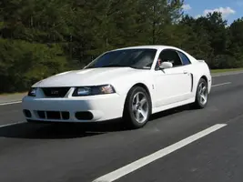 rollin.webp