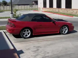 Picture006.webp