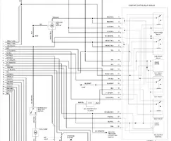 CCRM.webp