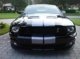 shelby6.webp