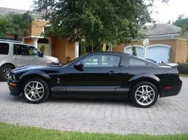 shelby5.webp
