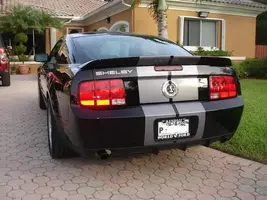 shelby8.webp