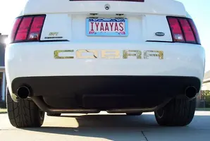 ass.webp