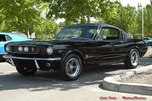 centertop%20w%20fangs%20no%20plate.webp