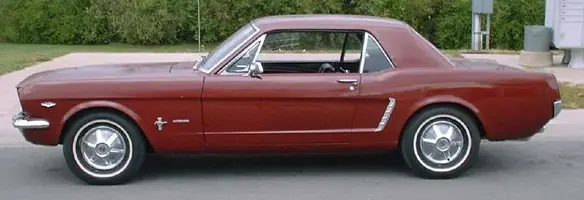my65.webp