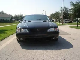 Picture_010.webp