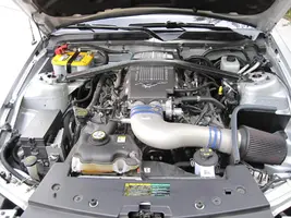 GT13.webp