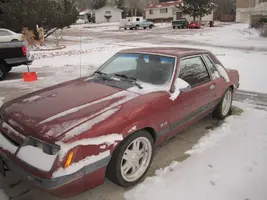 MUST MAV STUFF 004.webp