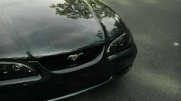 73008d1381092804-mustang-project-imag0262.webp