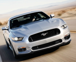 15stang.webp
