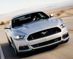15stang1.webp
