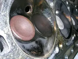 DSCN1854.webp