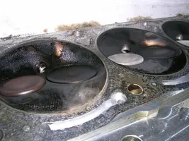 DSCN1858.webp