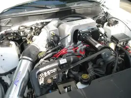 fbb44ce9.webp