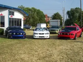 100_0482.webp