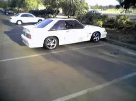 stang-1.webp
