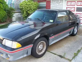 stangafter.webp