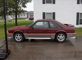 Pictures014.webp