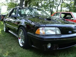 IMGP1325.webp