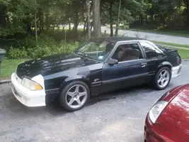 PICT0116-1.webp