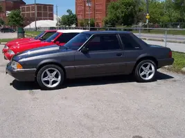 mustang084.webp