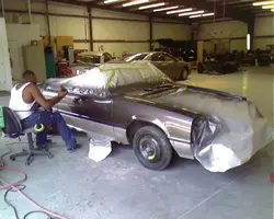 mustang.webp