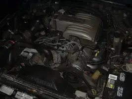 DSCF1072.webp