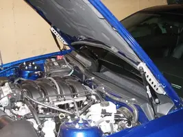 Mustang07-05-06004.webp