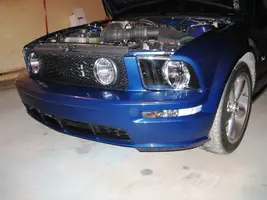 Mustang07-05-06001.webp