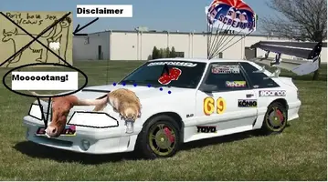 shawnmustang5.webp