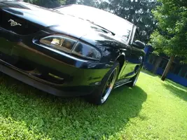 Stangnew009.webp