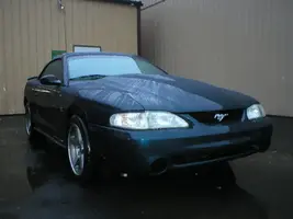 Picture099.webp