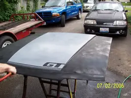 000_1295.webp