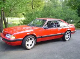 mustangs109.webp