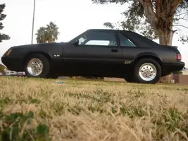 Picture003.webp