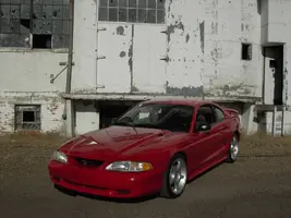 stang2.webp