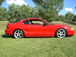 stang4.webp