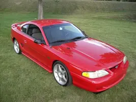 stang5.webp