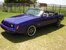 carsandwyatt022.webp