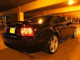 stang8.webp