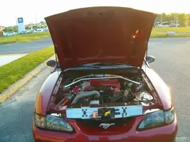 HPIM2761.webp