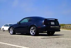 RearChopped-1.webp