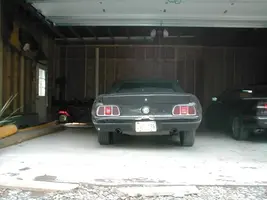 rearbefore.webp