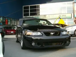 HPIM2713.webp