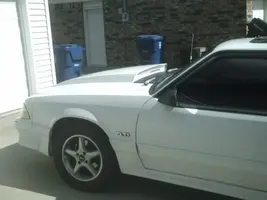 stang2.webp