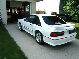 misccarpics009.webp
