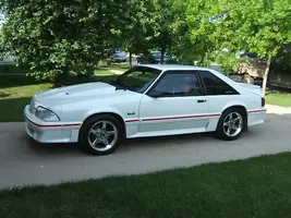 misccarpics002.webp